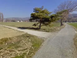 #24967 Terreno agricolo di 15.990 mq