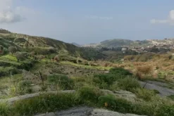 #18167 Terreno agricolo di 15.750 mq