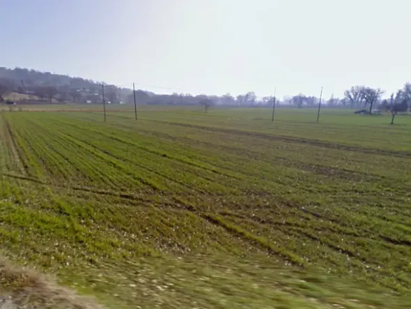 #24968 Terreno agricolo di 22.000 mq