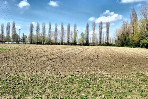 #23391 Terreno agricolo di 10.963 mq