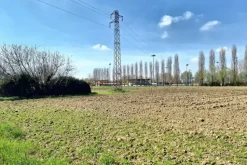 #23391 Terreno agricolo di 10.963 mq