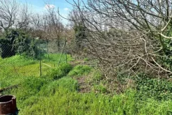 #23391 Terreno agricolo di 10.963 mq