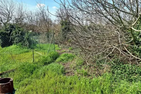 #23391 Terreno agricolo di 10.963 mq