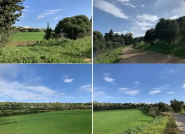 #21969 Terreno agricolo di 146000mq