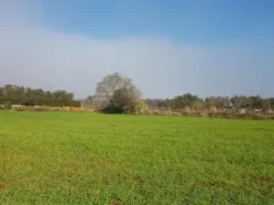 #23969 Terreno agricolo di 22.063 mq
