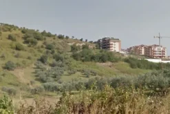 #21728 Terreno agricolo di 15.640 mq