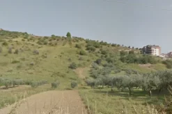#21728 Terreno agricolo di 15.640 mq