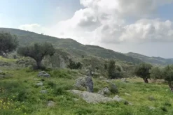 #18172 Terreno agricolo di 55.100 mq