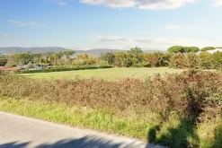 #22299 Terreno agricolo di 13.019 mq e magazzino