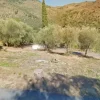 #13116 Terreno agricolo in zona residenziale collinare