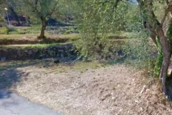 #13116 Terreno agricolo in zona residenziale collinare