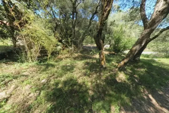 #13116 Terreno agricolo in zona residenziale collinare