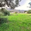 #24972 Terreno agricolo in zona rurale di espansione
