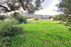 #24972 Terreno agricolo in zona rurale di espansione