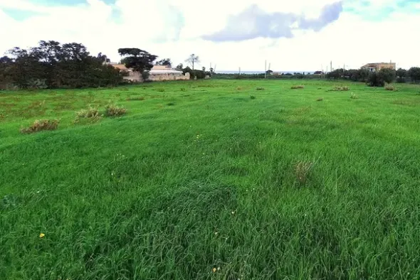 #24972 Terreno agricolo in zona rurale di espansione