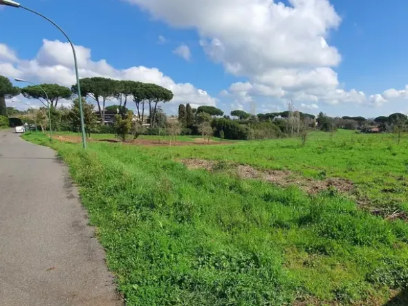 #24789 Terreno a verde privato attrezzato