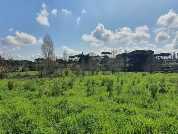 #24789 Terreno a verde privato attrezzato