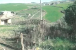 #25737 Terreno con capannone rurale in costruzione