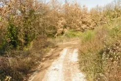 #25914 Terreno con ex cava dismessa di 6470 mq