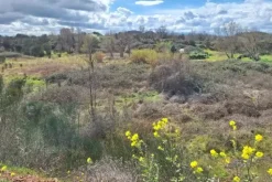 #25914 Terreno con ex cava dismessa di 6470 mq