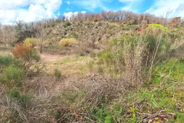 #25914 Terreno con ex cava dismessa di 6470 mq