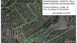 Terreno con olivi e pozzo a Dolianova, Sardegna