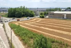 #2639736 Terreno di completamento residenziale