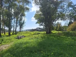 #25677 Terreno di 62.450 mq