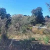 #2537153 Terreno edificabile