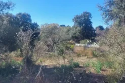 #2537153 Terreno edificabile