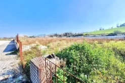 #25506 Terreno edificabile di 13.347 mq