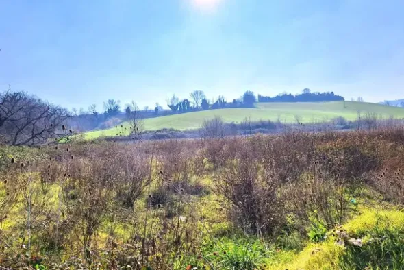 #25506 Terreno edificabile di 13.347 mq