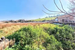 #25506 Terreno edificabile di 13.347 mq