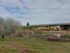 #16210 Terreno edificabile di 14.484 mq