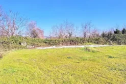 #25499 Terreno edificabile di 14.062 mq