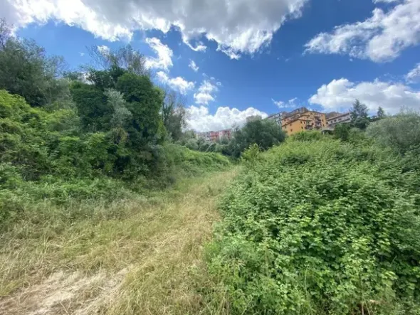 #18616 Terreno edificabile ed agricolo di 2.046 mq