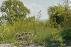 #13082 Terreno edificabile e porzione agricola