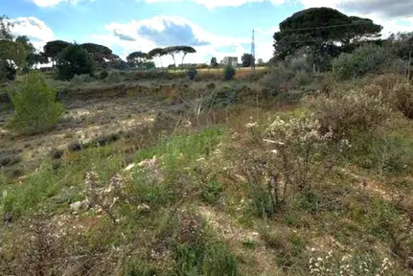 #2639699 Terreno edificabile residenziale di 1694 mq