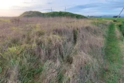 #20166 Terreno edificabile residenziale di 1012 mq