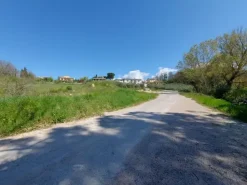 #20506 Terreno edificabile residenziale di 2.300 mq