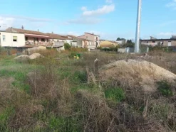579#73951 Trattori agricoli e macchine dismessi