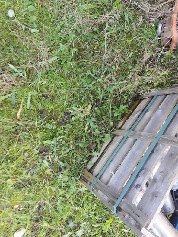 579#73951 Trattori agricoli e macchine dismessi