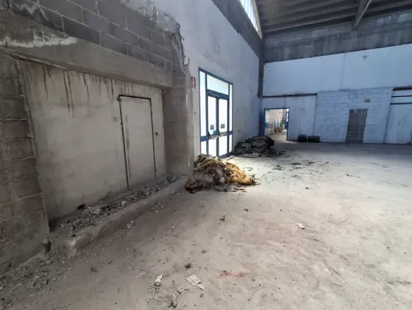 #2640021 Tribunale di Udine - Capannone industriale con corte