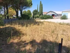 #2640021 Tribunale di Udine - Capannone industriale con corte