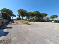 #2640021 Tribunale di Udine - Capannone industriale con corte