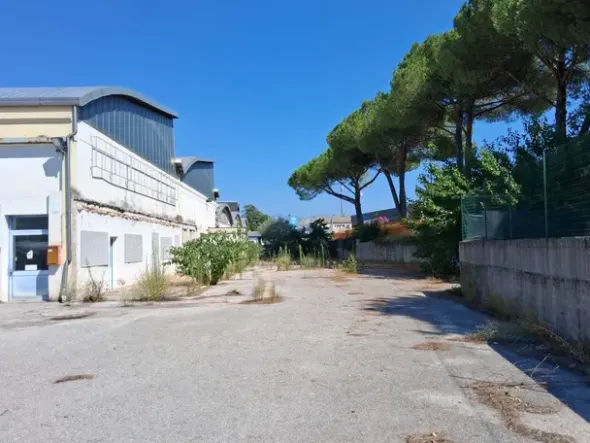 #2640021 Tribunale di Udine - Capannone industriale con corte