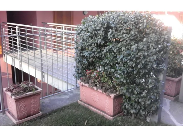 VASI IN RESINA - come nuoviAffare!