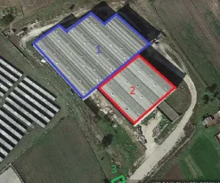 vendo 2 capannoni industriali di mq 3.000 cadauno