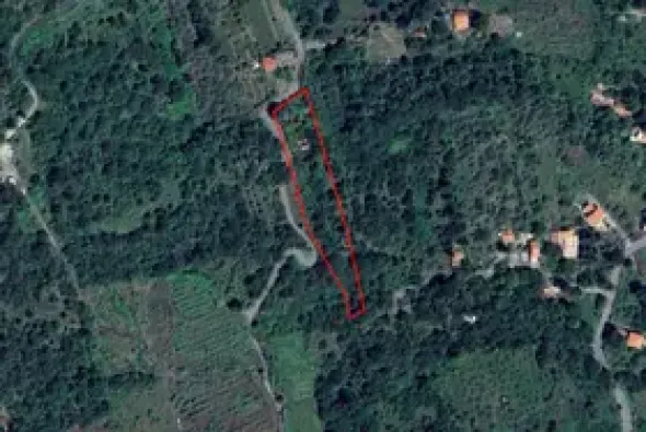 Vendo terreni agricolo